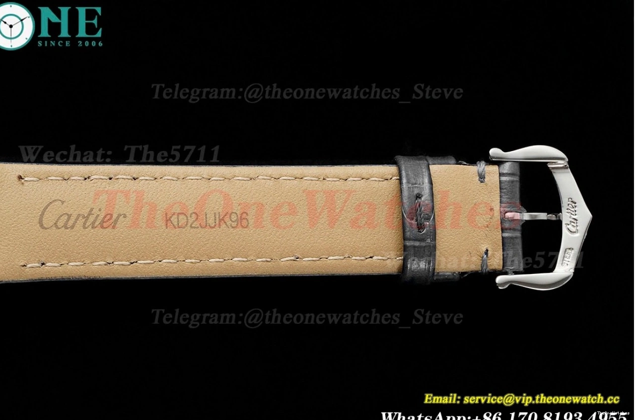 Quartz Grey Dumont Santos SS Dial AF LE Silver 0116